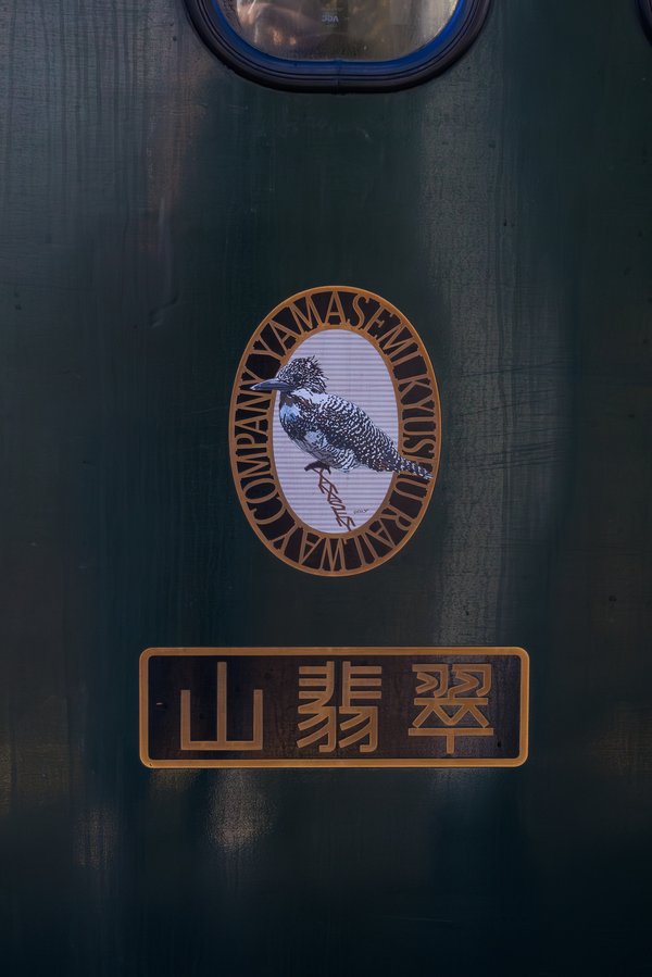 Crested Kingfisher